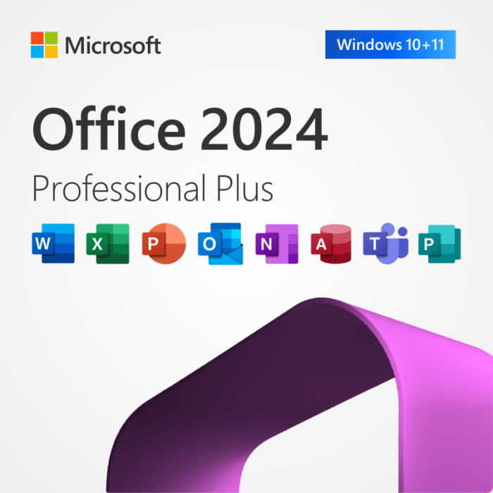 Microsoft Office 2024 Pro Plus Key